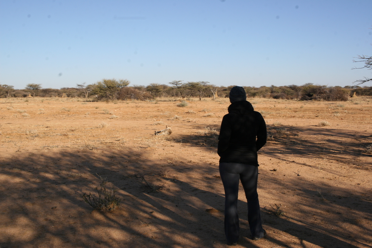 [1292] 2016_06_22_03_01_05_Africa_Canon_EOS_30D_IMG_1777_00044.jpg