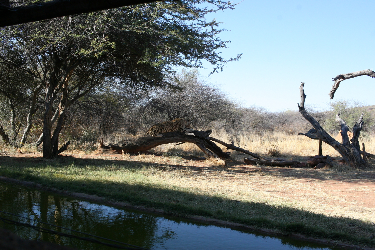 [6097] 2016_06_23_10_32_54_Africa_Canon_EOS_30D_IMG_1849_00293.jpg
