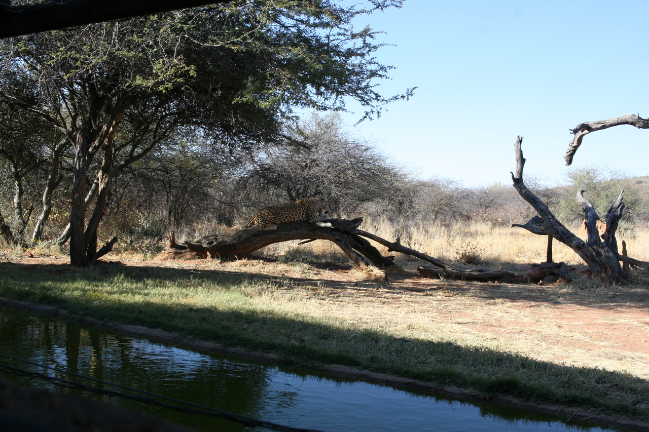 [6103] 2016_06_23_10_34_00_Africa_Canon_EOS_30D_IMG_1852_00296.jpg