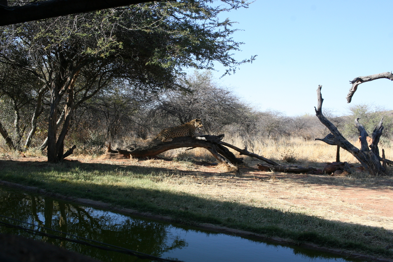 [6106] 2016_06_23_10_36_36_Africa_Canon_EOS_30D_IMG_1854_00119.jpg