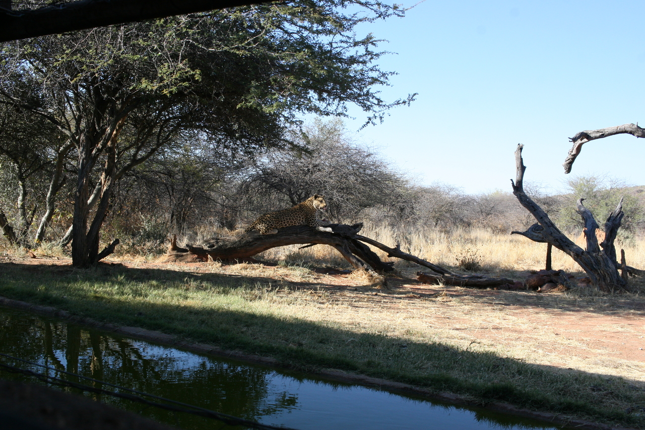 [6111] 2016_06_23_10_37_51_Africa_Canon_EOS_30D_IMG_1856_00300.jpg