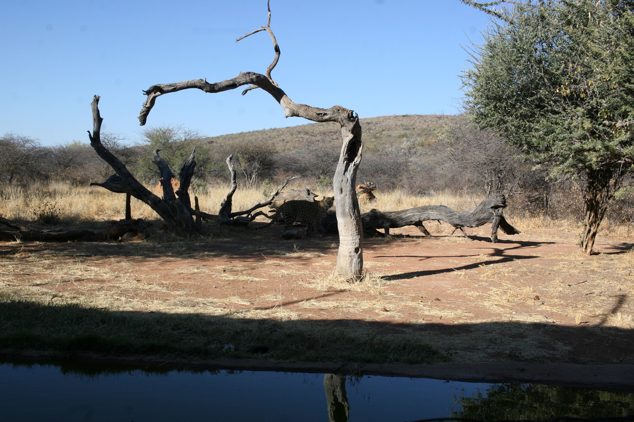 [6129] 2016_06_23_10_38_16_Africa_Canon_EOS_30D_IMG_1865_00309.jpg