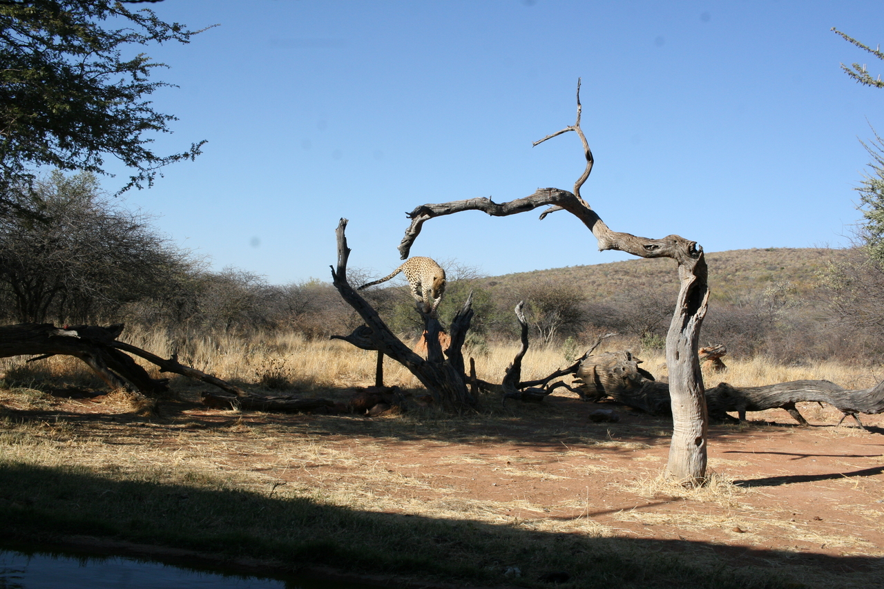 [6147] 2016_06_23_10_38_49_Africa_Canon_EOS_30D_IMG_1874_00318.jpg