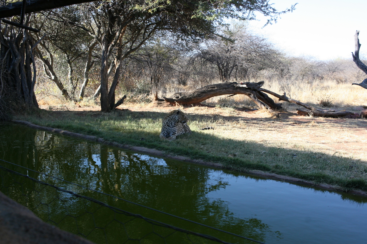 [6190] 2016_06_23_10_40_43_Africa_Canon_EOS_30D_IMG_1896_00161.jpg