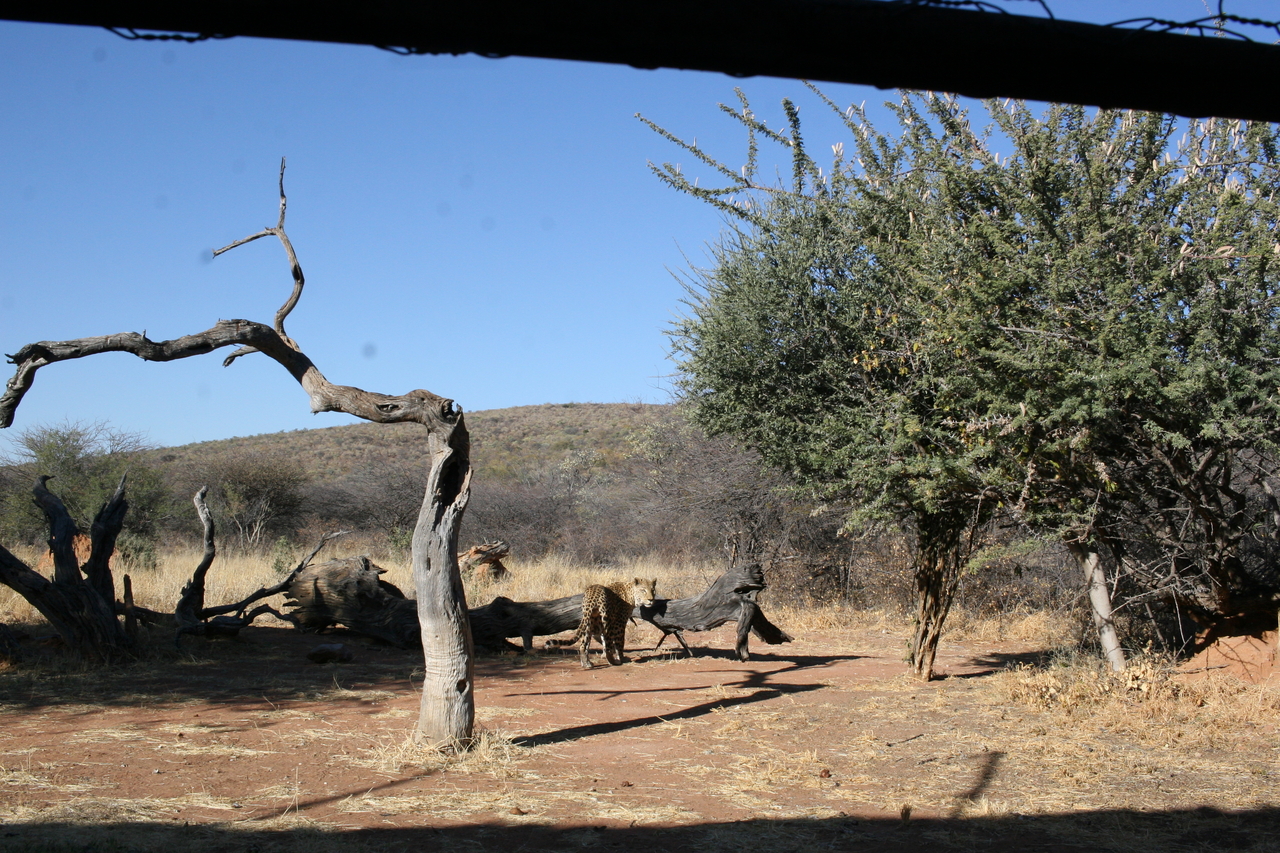 [6199] 2016_06_23_10_41_42_Africa_Canon_EOS_30D_IMG_1900_00344.jpg