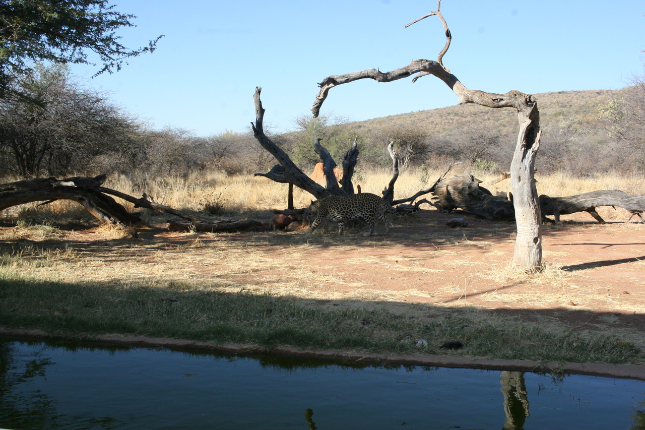 [6201] 2016_06_23_10_42_12_Africa_Canon_EOS_30D_IMG_1901_00345.jpg