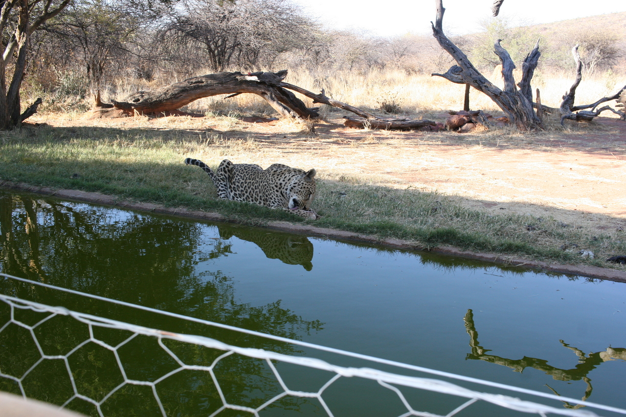 [6217] 2016_06_23_10_43_19_Africa_Canon_EOS_30D_IMG_1909_00353.jpg
