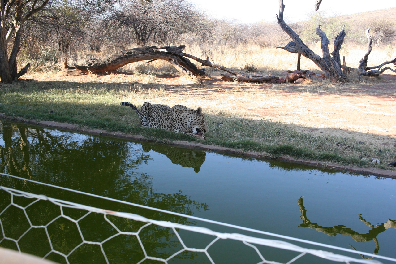 [6221] 2016_06_23_10_43_23_Africa_Canon_EOS_30D_IMG_1911_00355.jpg