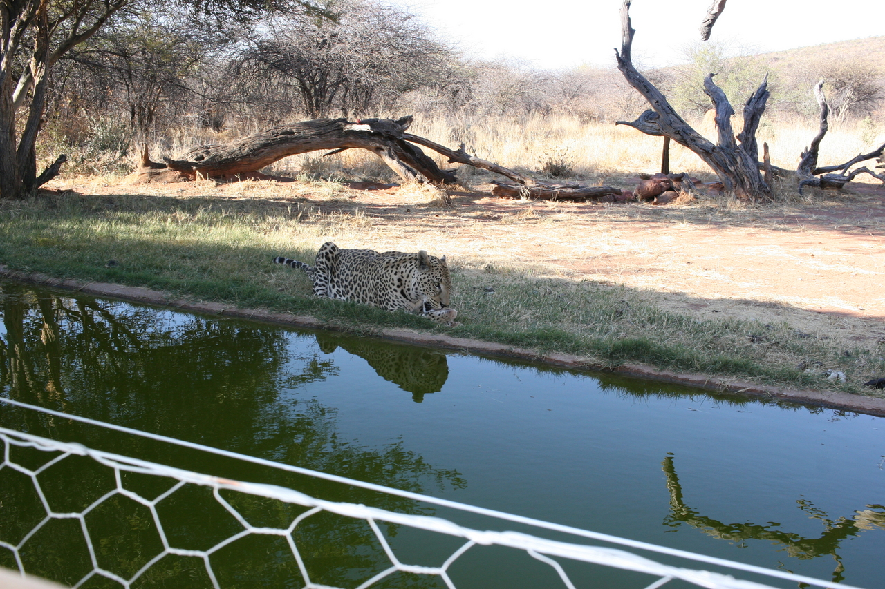 [6294] 2016_06_23_10_45_07_Africa_Canon_EOS_30D_IMG_1922_00366.jpg