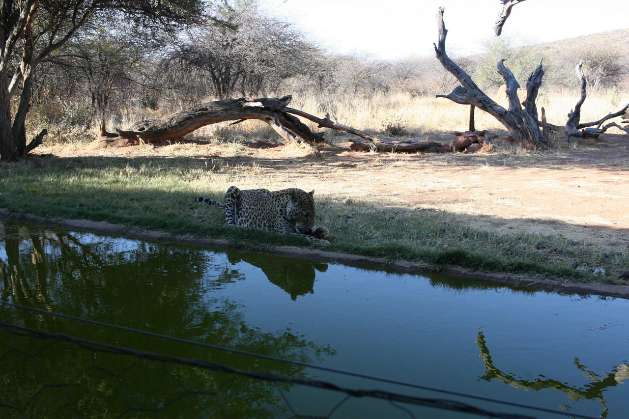 [6300] 2016_06_23_10_45_23_Africa_Canon_EOS_30D_IMG_1924_00189.jpg