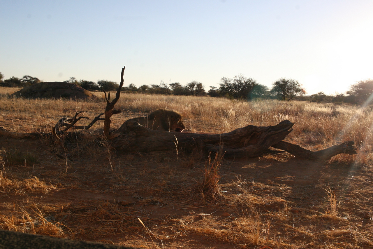 [8657] 2016_06_23_11_55_18_Africa_Canon_EOS_30D_IMG_1935_00379.jpg
