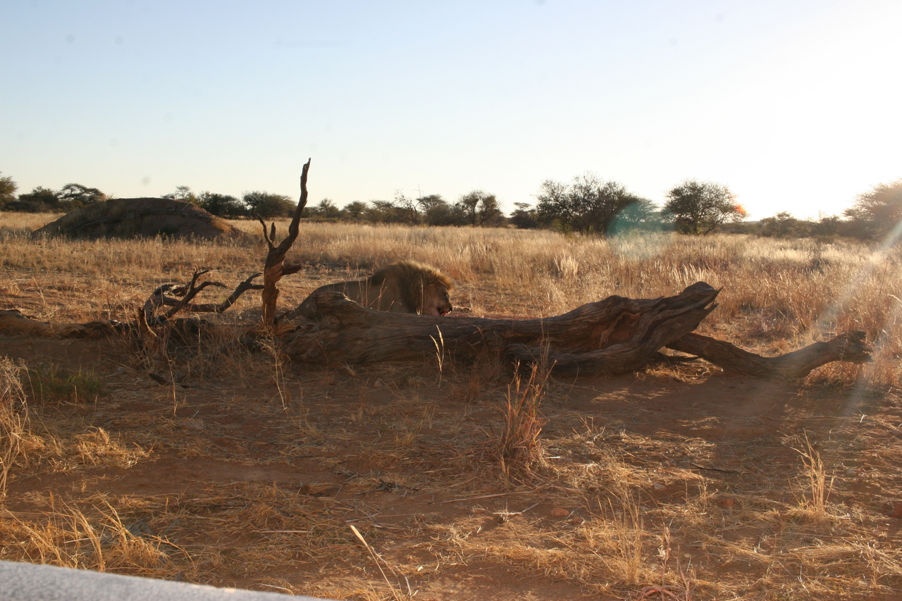 [8749] 2016_06_23_11_57_09_Africa_Canon_EOS_30D_IMG_1944_00388.jpg