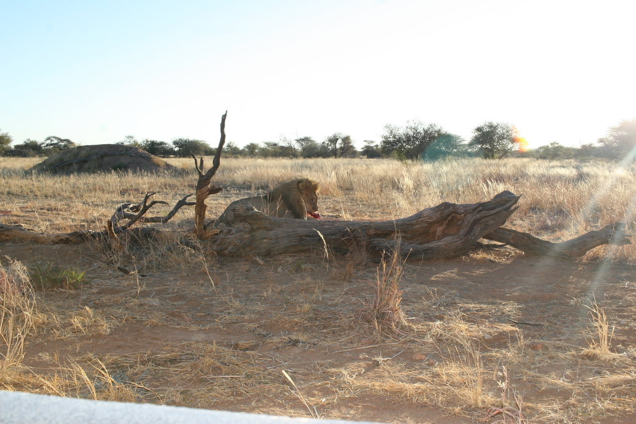 [8761] 2016_06_23_11_59_32_Africa_Canon_EOS_30D_IMG_1950_00394.jpg