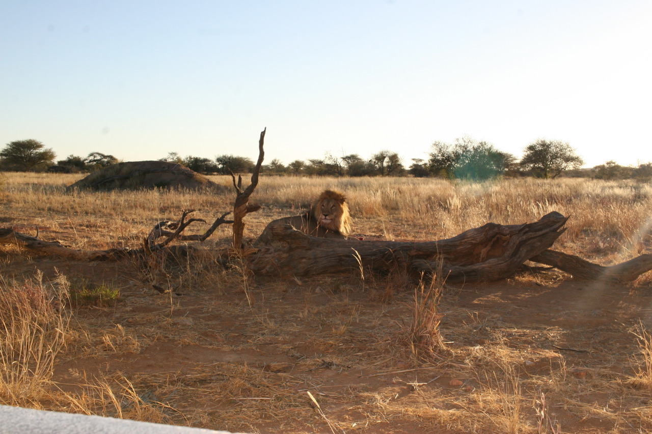 [8767] 2016_06_23_12_00_26_Africa_Canon_EOS_30D_IMG_1953_00397.jpg