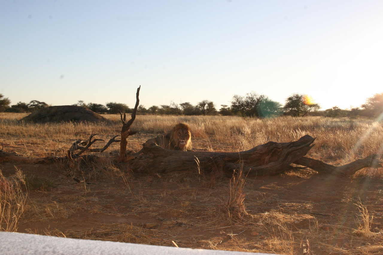 [8791] 2016_06_23_12_02_23_Africa_Canon_EOS_30D_IMG_1965_00409.jpg