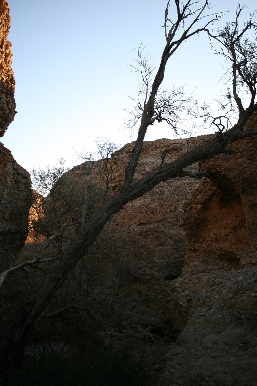 [14006] 2016_06_24_11_49_26_Africa_Canon_EOS_30D_IMG_1990_00255.jpg