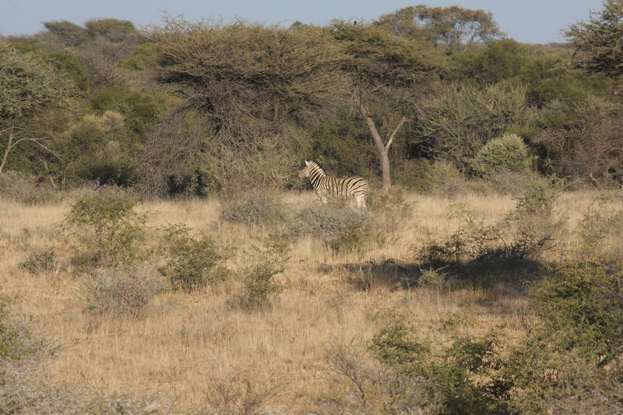 [546] 2016_06_22_02_15_13_Africa_Canon_EOS_40D_IMG__00012.jpg