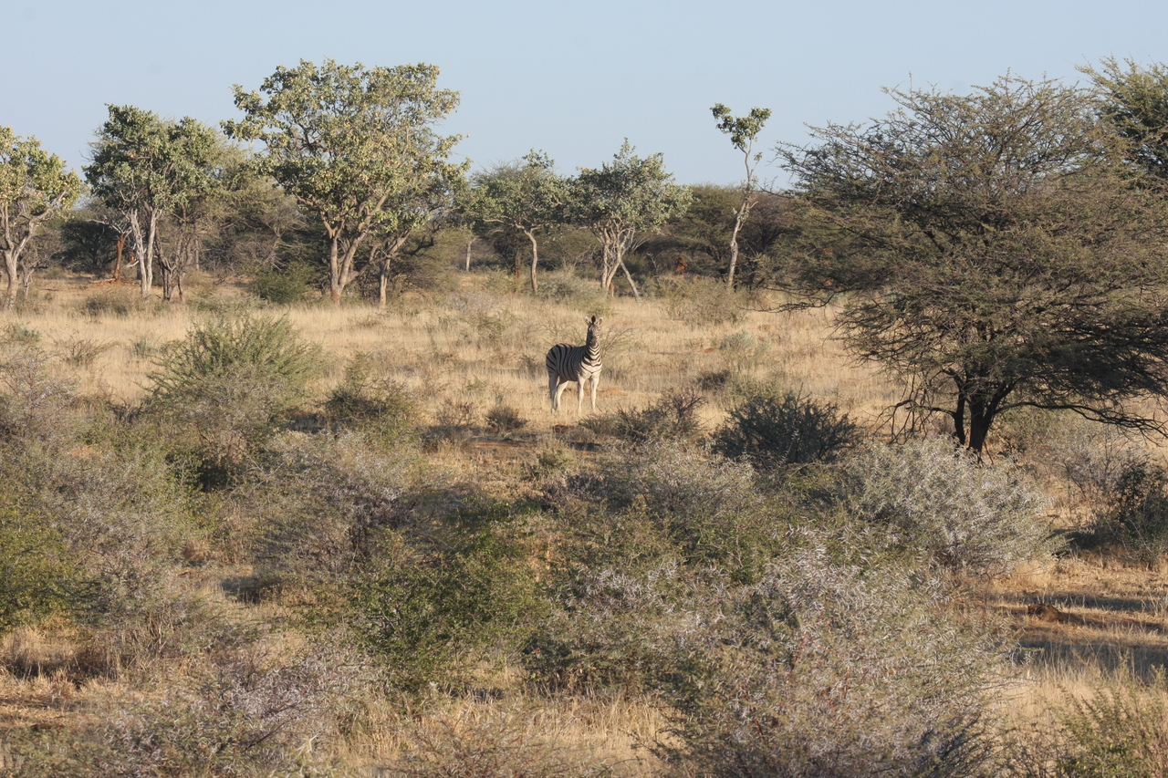 [607] 2016_06_22_02_16_39_Africa_Canon_EOS_40D_IMG__00033.jpg