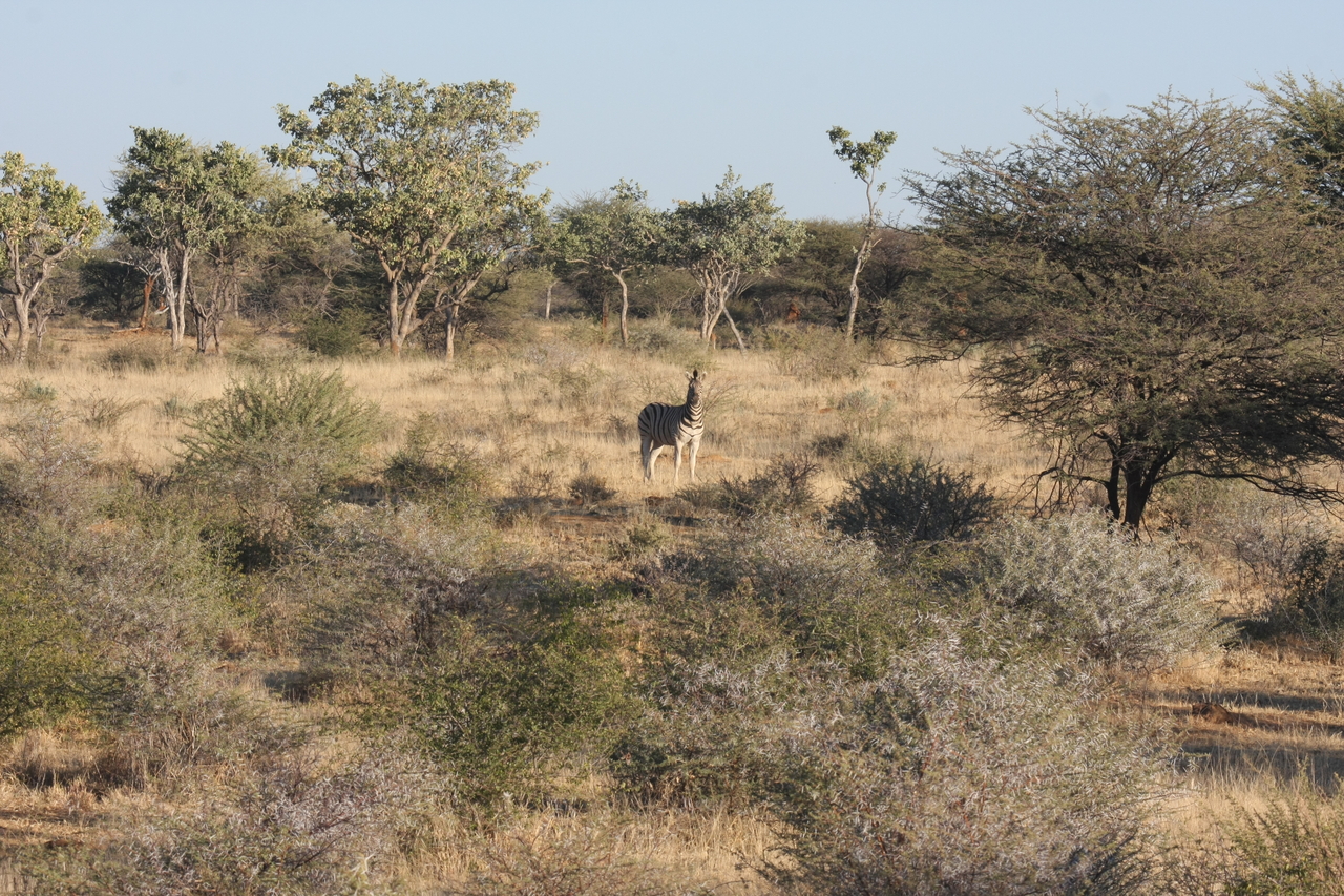 [614] 2016_06_22_02_16_42_Africa_Canon_EOS_40D_IMG__00034.jpg