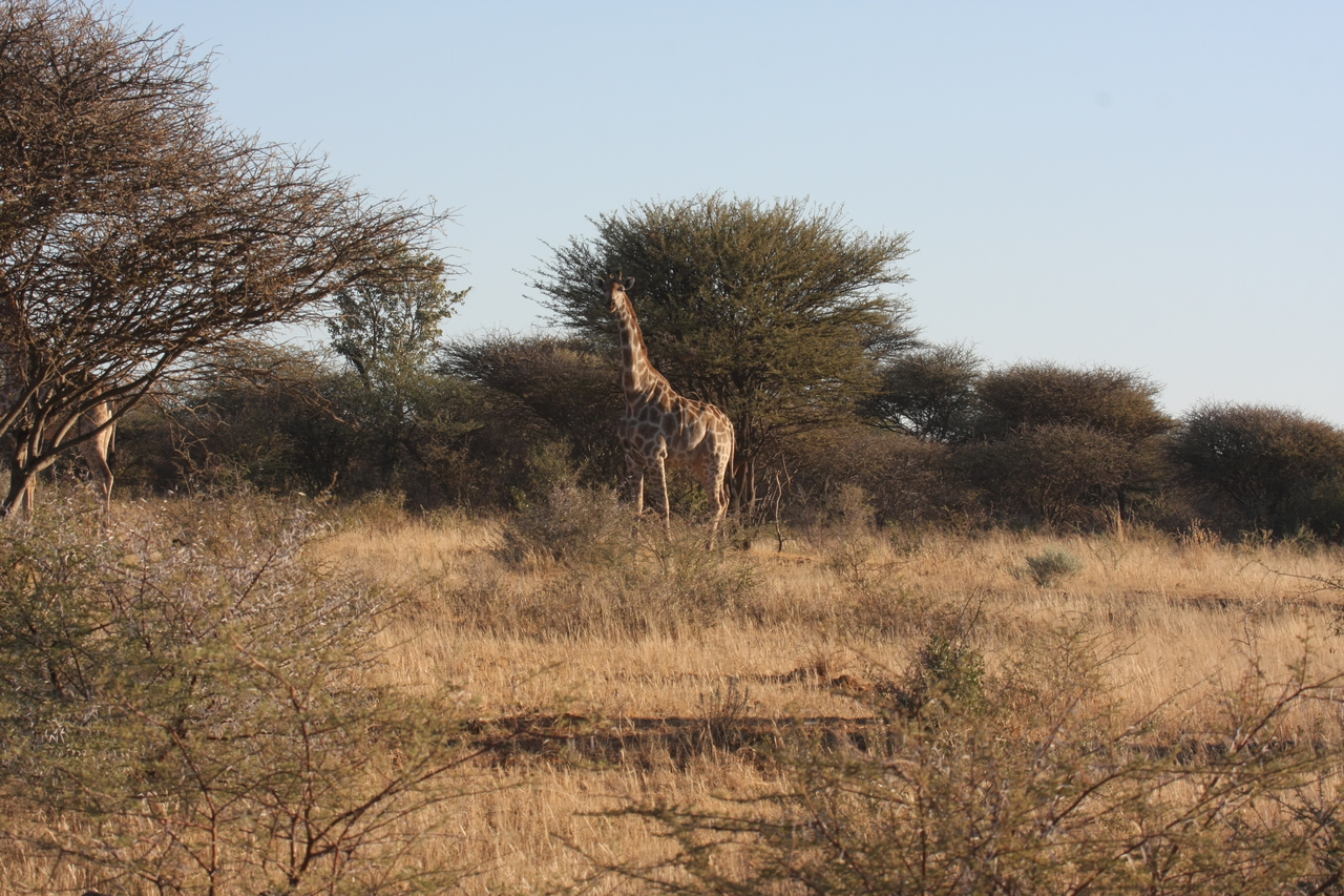 [625] 2016_06_22_02_17_45_Africa_Canon_EOS_40D_IMG__07503.jpg