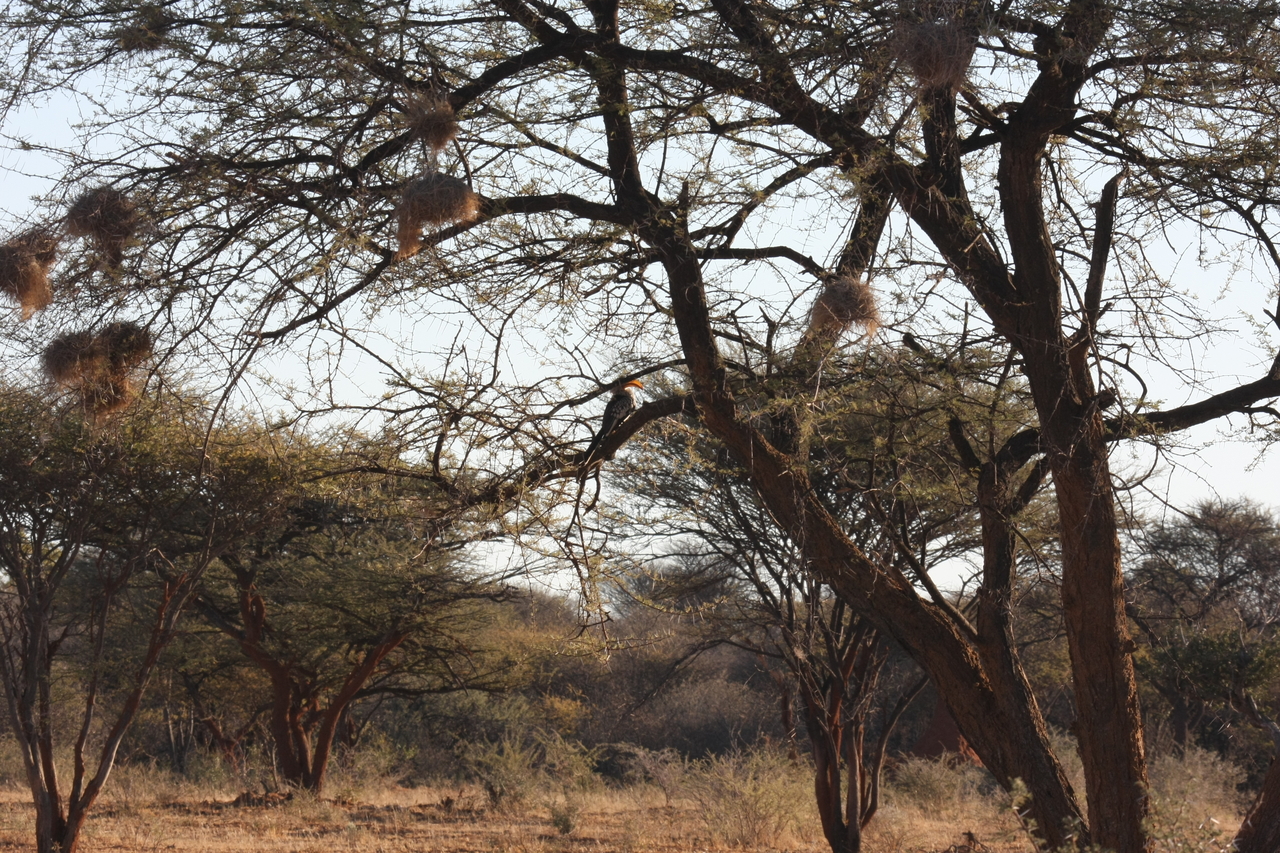 [647] 2016_06_22_02_23_09_Africa_Canon_EOS_40D_IMG__07507.jpg