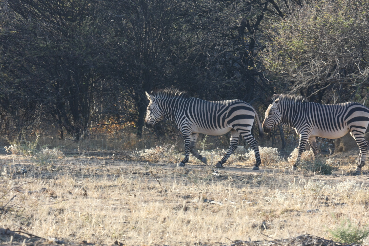 [714] 2016_06_22_02_32_52_Africa_Canon_EOS_40D_IMG__00078.jpg