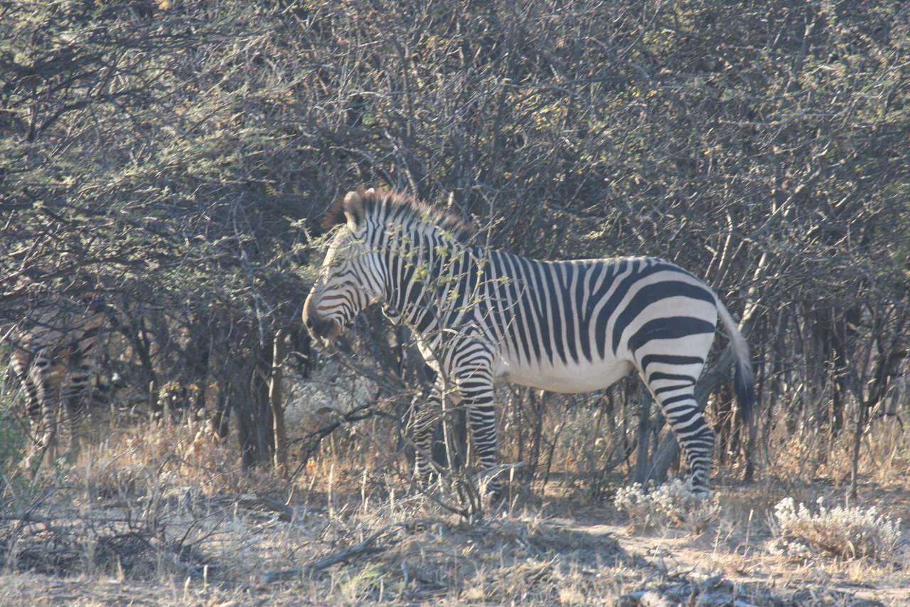 [726] 2016_06_22_02_33_16_Africa_Canon_EOS_40D_IMG__00082.jpg