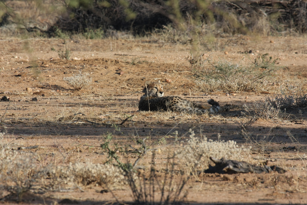 [735] 2016_06_22_02_43_16_Africa_Canon_EOS_40D_IMG__00085.jpg