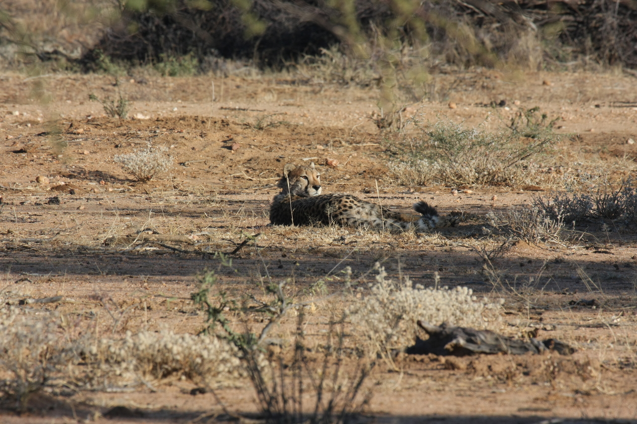 [743] 2016_06_22_02_43_17_Africa_Canon_EOS_40D_IMG__00088.jpg