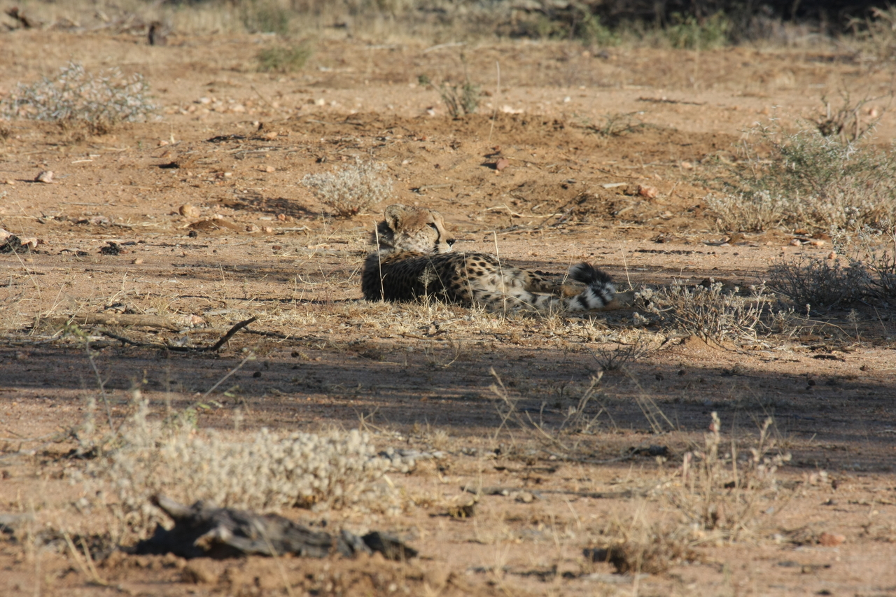 [750] 2016_06_22_02_43_45_Africa_Canon_EOS_40D_IMG__00090.jpg