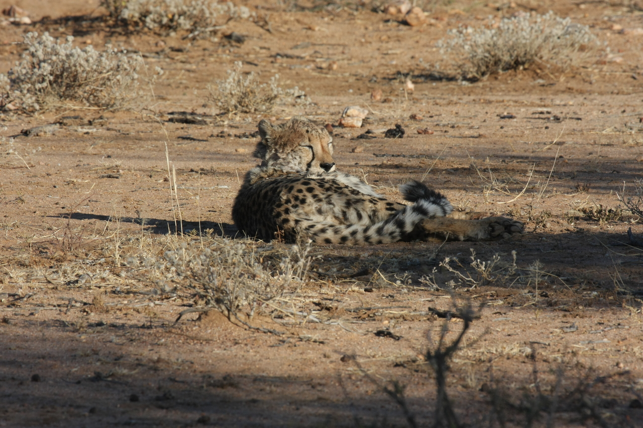 [769] 2016_06_22_02_44_58_Africa_Canon_EOS_40D_IMG__00096.jpg