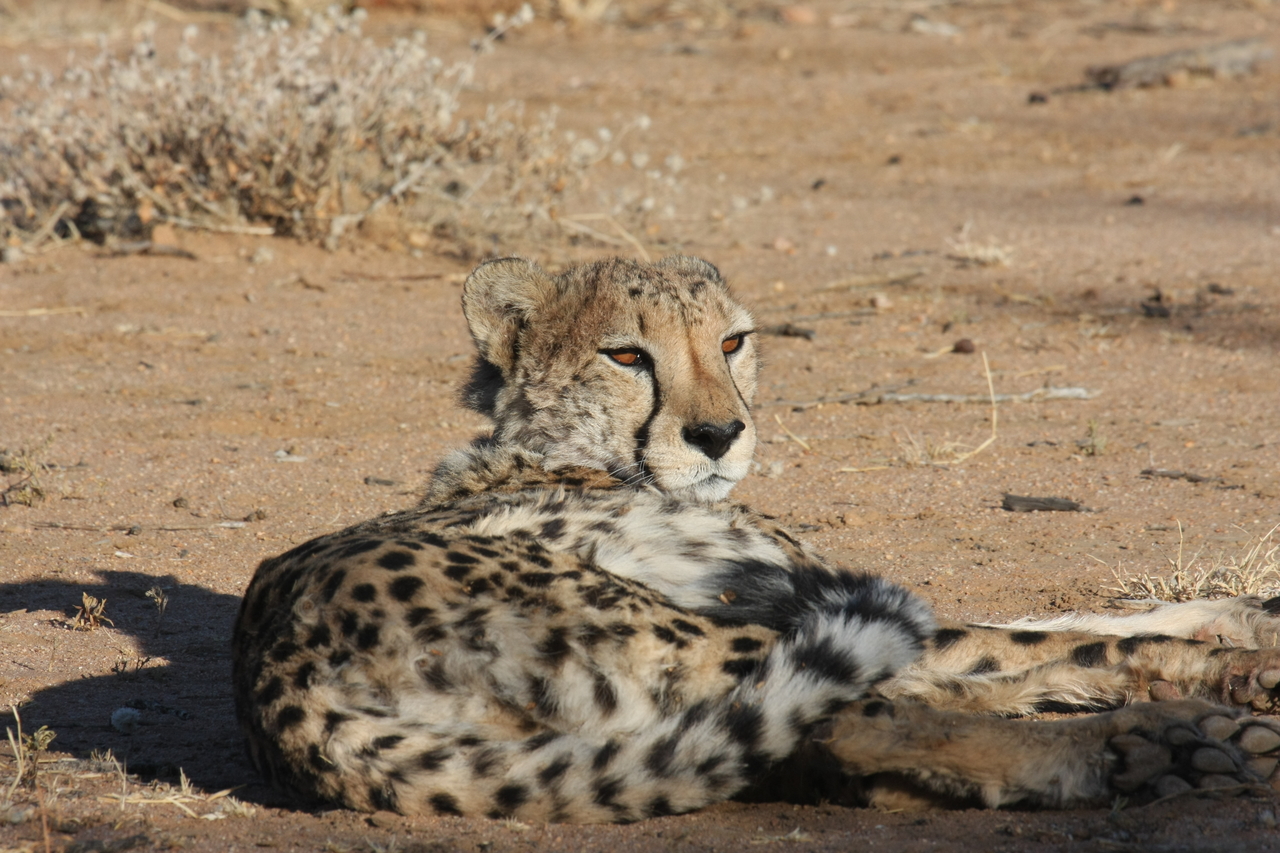 [807] 2016_06_22_02_46_05_Africa_Canon_EOS_40D_IMG__07555.jpg