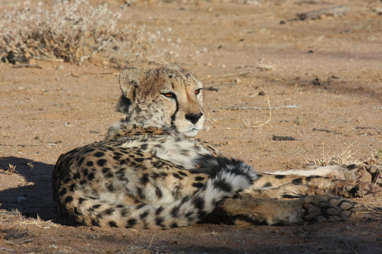 [811] 2016_06_22_02_46_08_Africa_Canon_EOS_40D_IMG__07557.jpg
