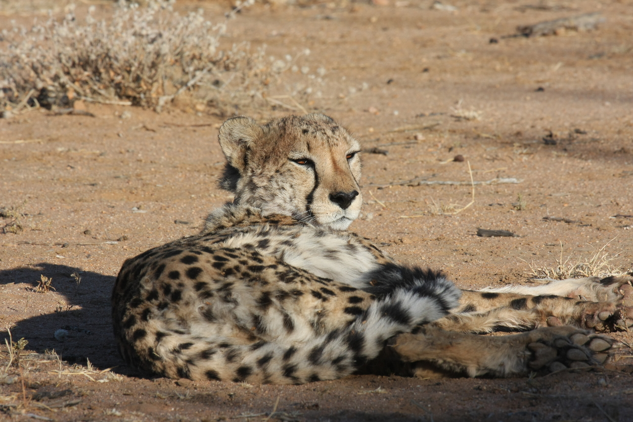 [818] 2016_06_22_02_46_10_Africa_Canon_EOS_40D_IMG__00094.jpg