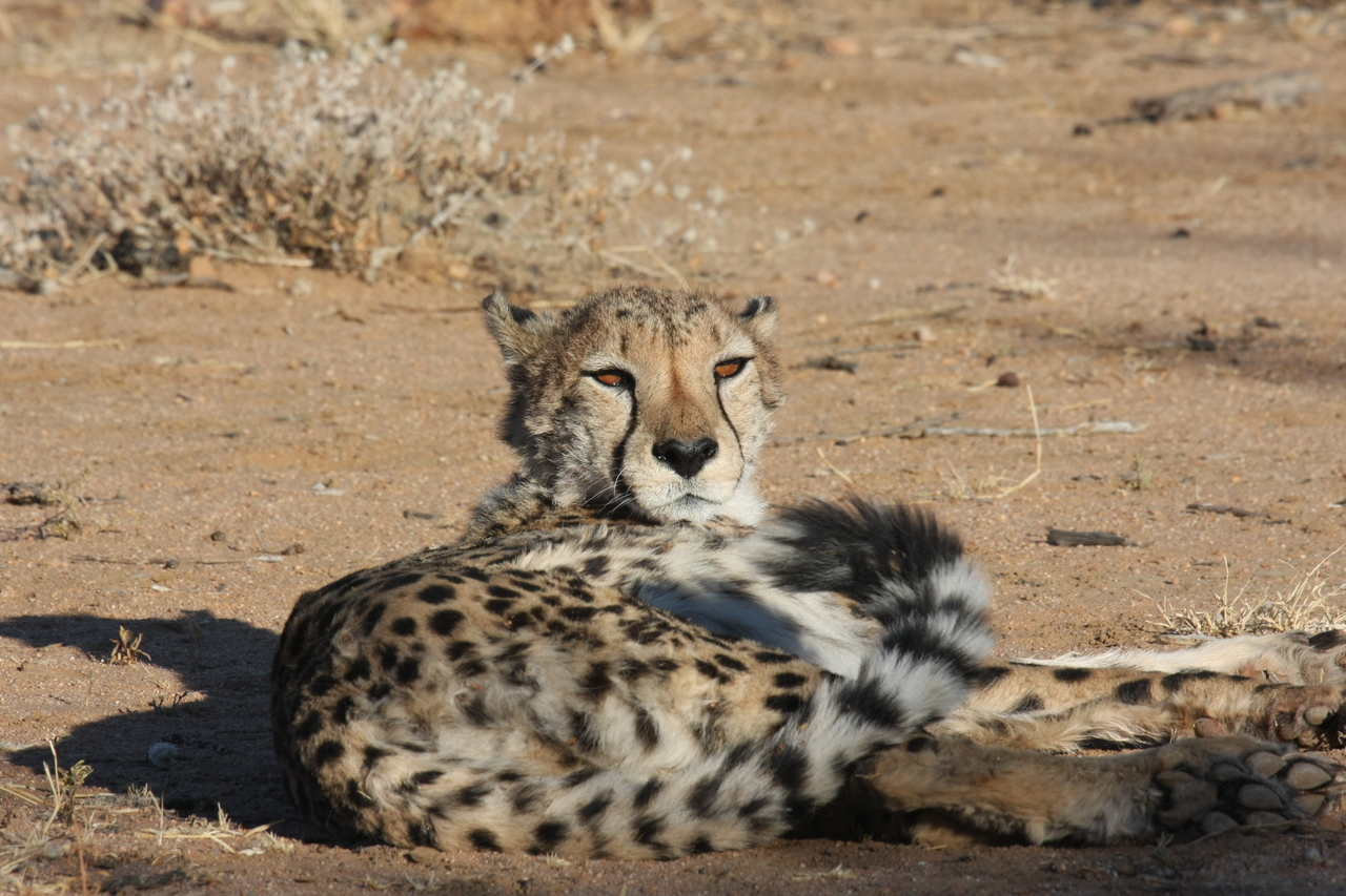 [826] 2016_06_22_02_46_12_Africa_Canon_EOS_40D_IMG__07562.jpg