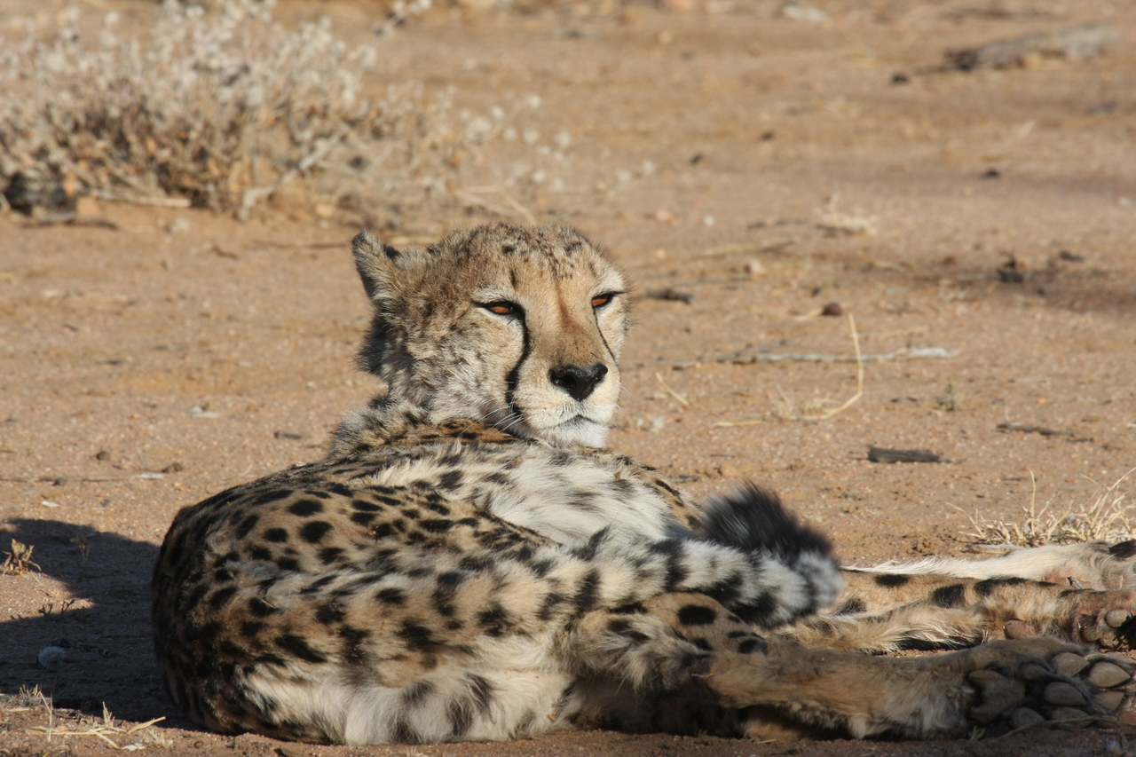 [836] 2016_06_22_02_46_16_Africa_Canon_EOS_40D_IMG__00100.jpg