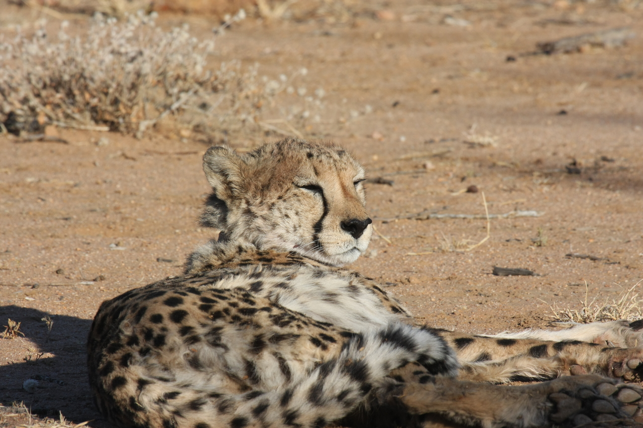 [841] 2016_06_22_02_46_17_Africa_Canon_EOS_40D_IMG__07567.jpg
