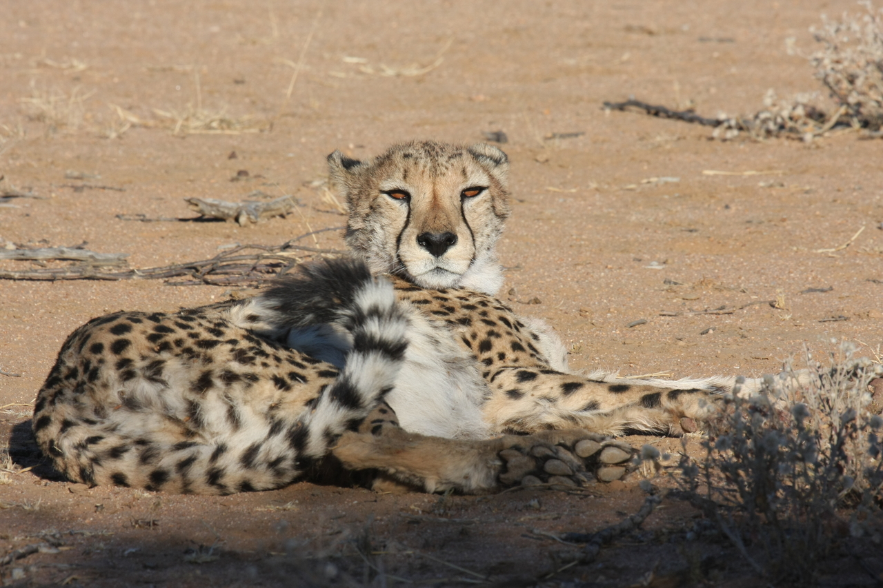 [850] 2016_06_22_02_46_53_Africa_Canon_EOS_40D_IMG__07570.jpg