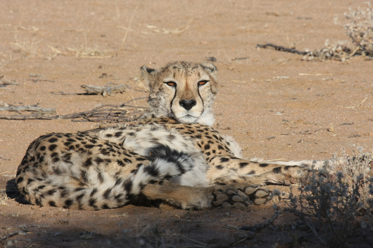 [851] 2016_06_22_02_46_54_Africa_Canon_EOS_40D_IMG__00105.jpg
