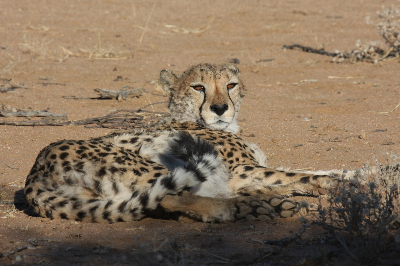 [861] 2016_06_22_02_47_02_Africa_Canon_EOS_40D_IMG__07573.jpg