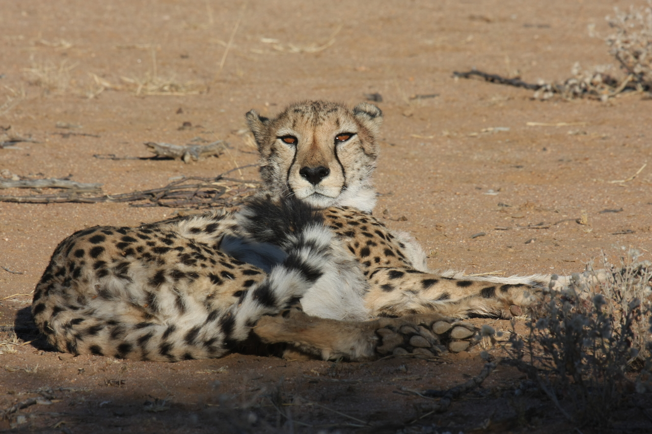 [867] 2016_06_22_02_47_03_Africa_Canon_EOS_40D_IMG__07575.jpg