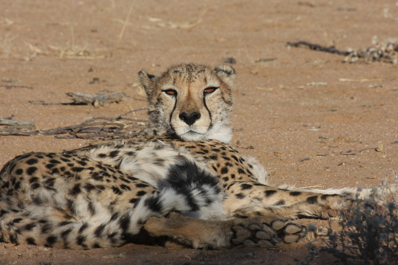 [873] 2016_06_22_02_47_07_Africa_Canon_EOS_40D_IMG__07577.jpg
