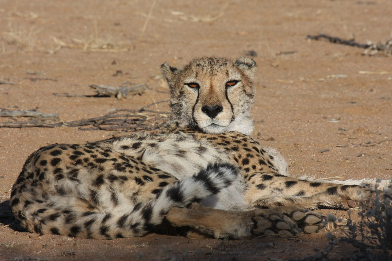 [879] 2016_06_22_02_47_10_Africa_Canon_EOS_40D_IMG__00133.jpg