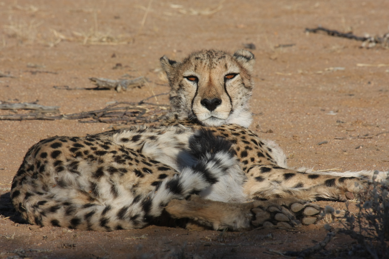 [883] 2016_06_22_02_47_11_Africa_Canon_EOS_40D_IMG__00134.jpg