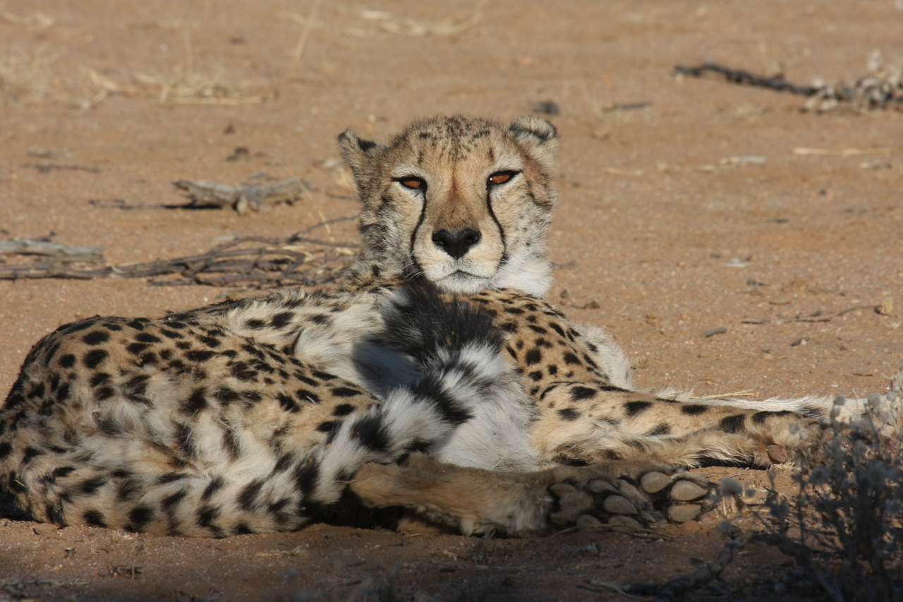 [884] 2016_06_22_02_47_11_Africa_Canon_EOS_40D_IMG__00135.jpg