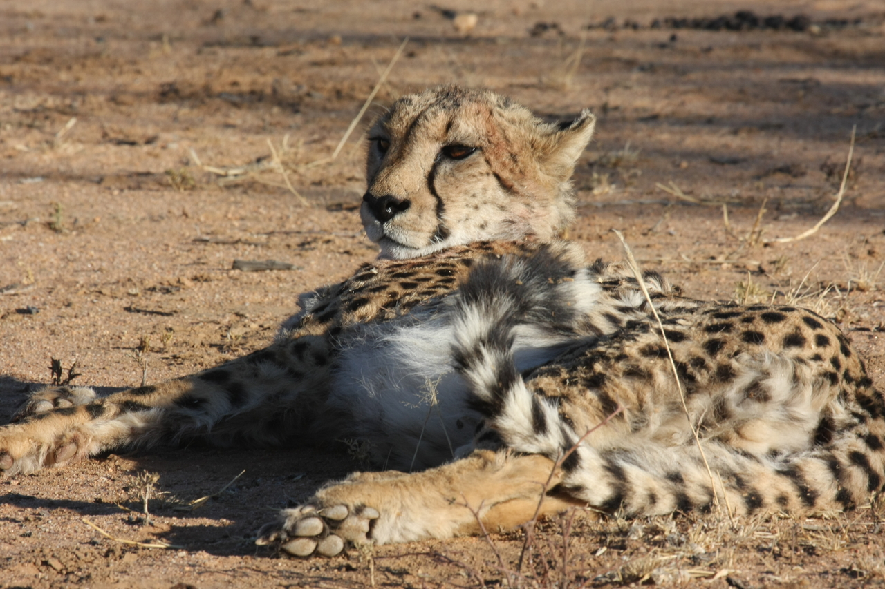 [901] 2016_06_22_02_48_45_Africa_Canon_EOS_40D_IMG__00140.jpg