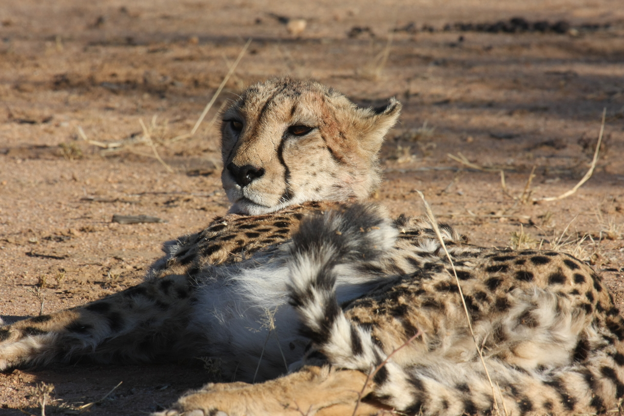 [910] 2016_06_22_02_48_47_Africa_Canon_EOS_40D_IMG__00124.jpg
