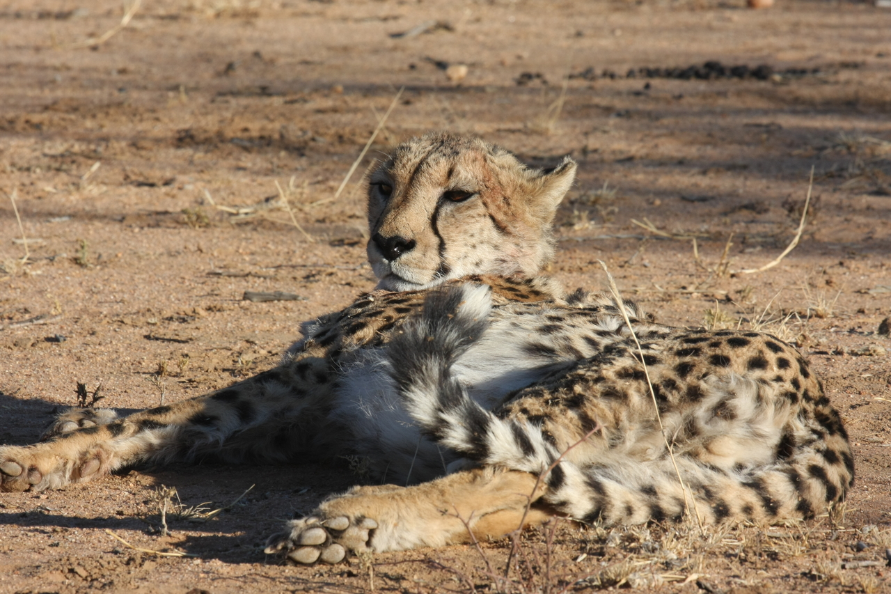[926] 2016_06_22_02_48_52_Africa_Canon_EOS_40D_IMG__00146.jpg