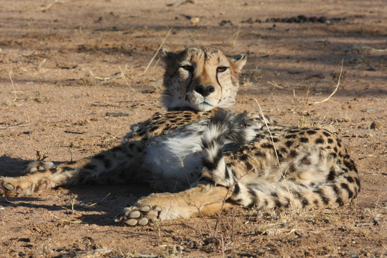 [939] 2016_06_22_02_48_57_Africa_Canon_EOS_40D_IMG__07595.jpg