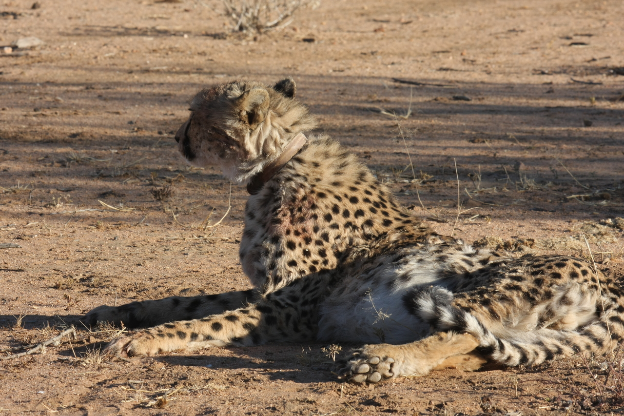 [955] 2016_06_22_02_49_55_Africa_Canon_EOS_40D_IMG__00154.jpg